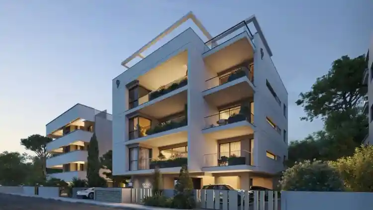 Project Image 1