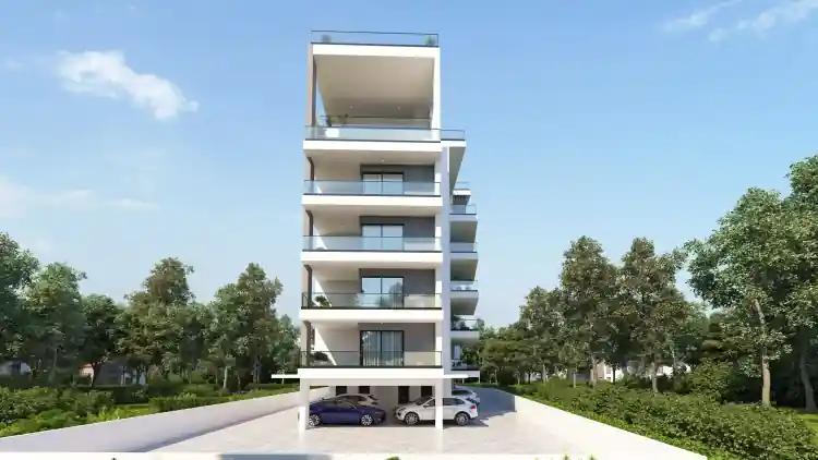 Project Image 2