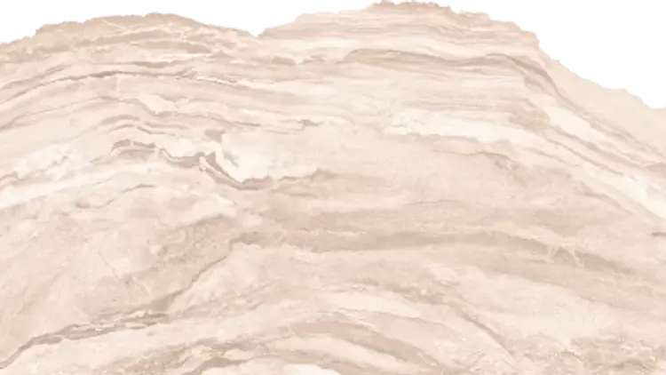 Project Image 5