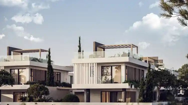 Project Image 2