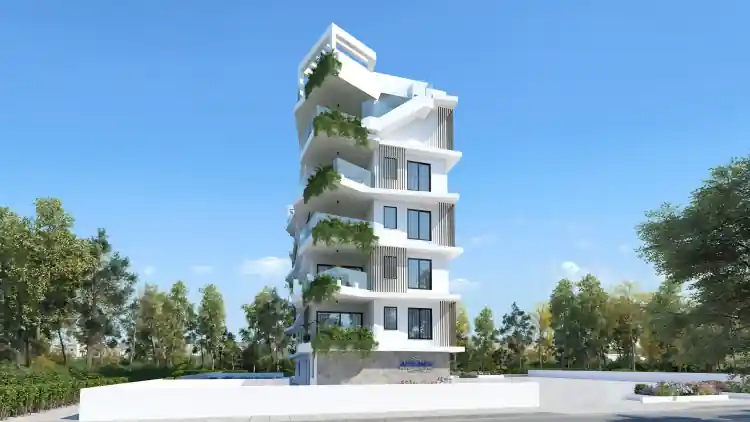 Project Image 3