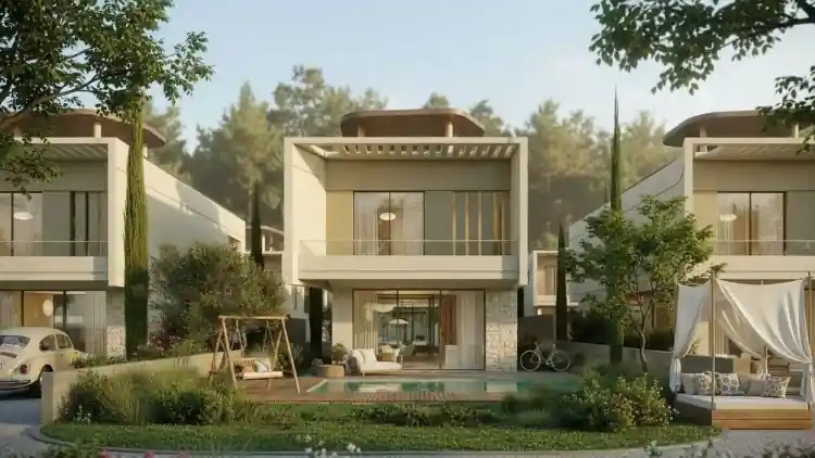 Project Image 15