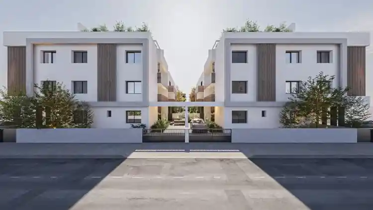Project Image 1