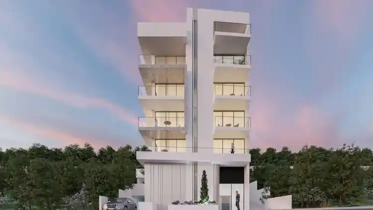 Project Image 1