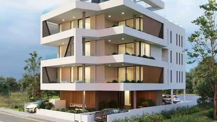 Project Image 1
