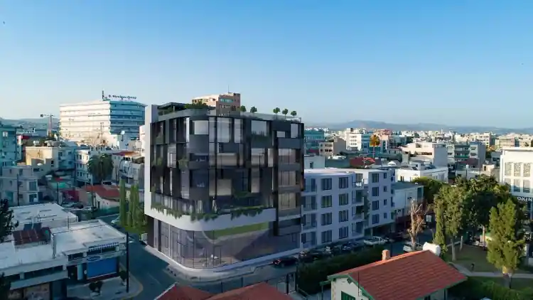 Project Image 1