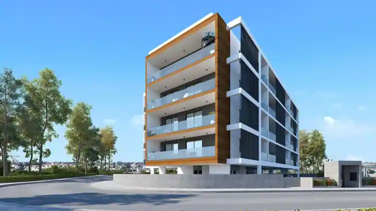 Project Image 4