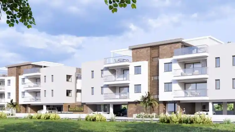 Project Image 1