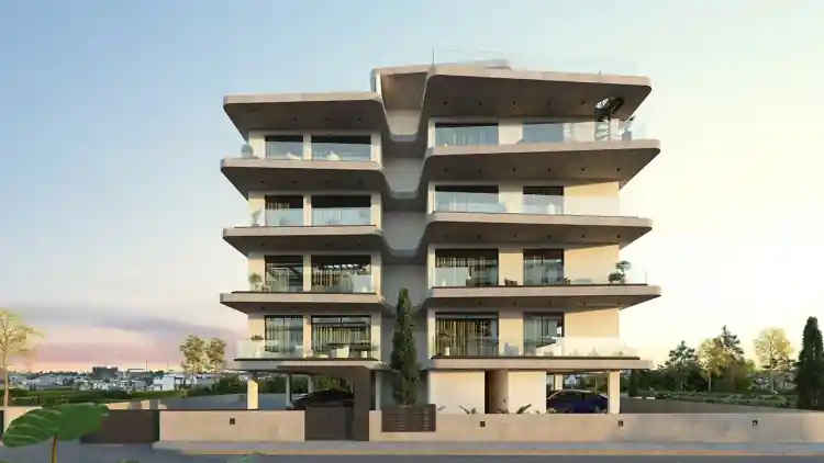 Project Image 13