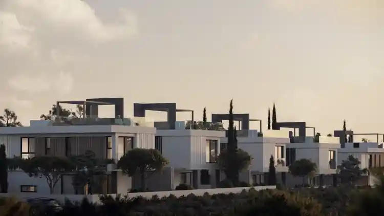 Project Image 13