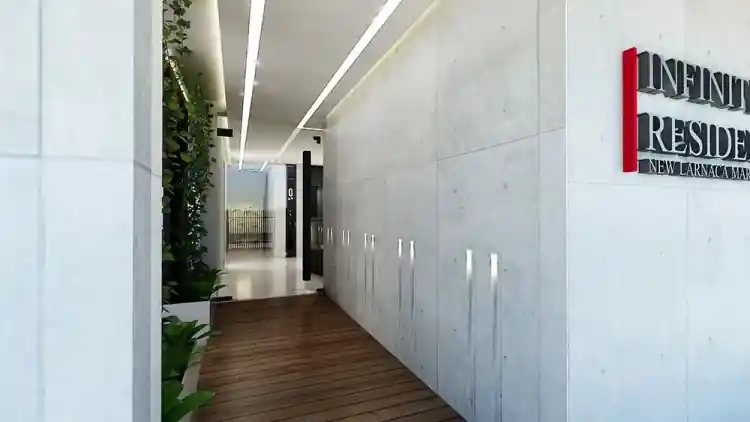 Project Image 12