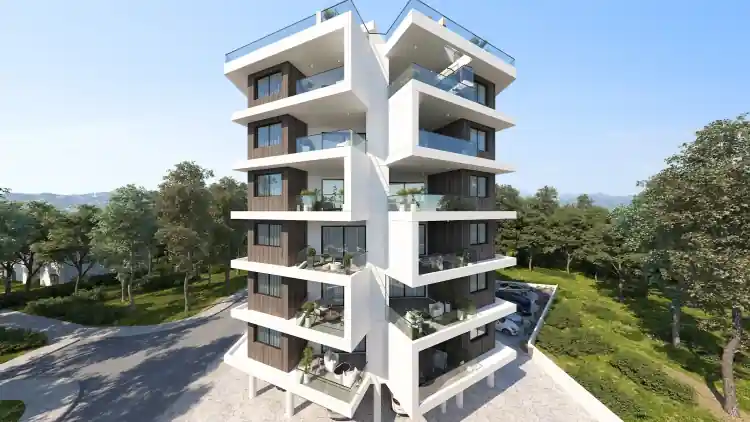 Project Image 5
