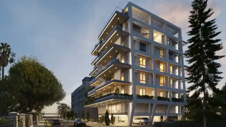 Project Image 1