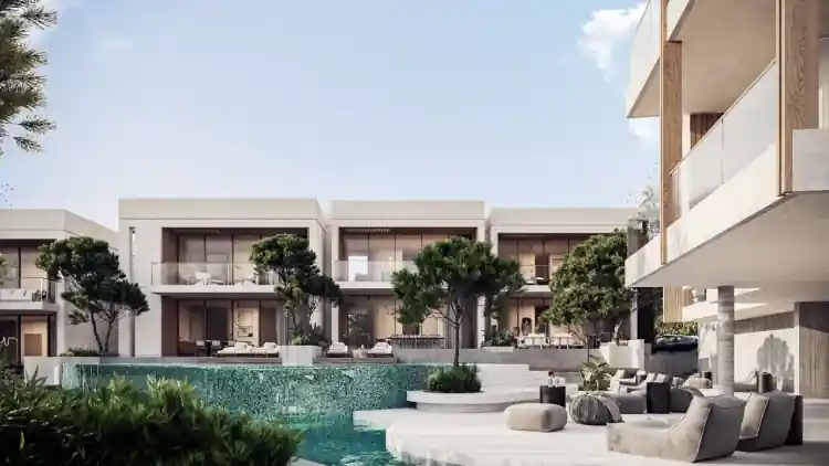 Project Image 15