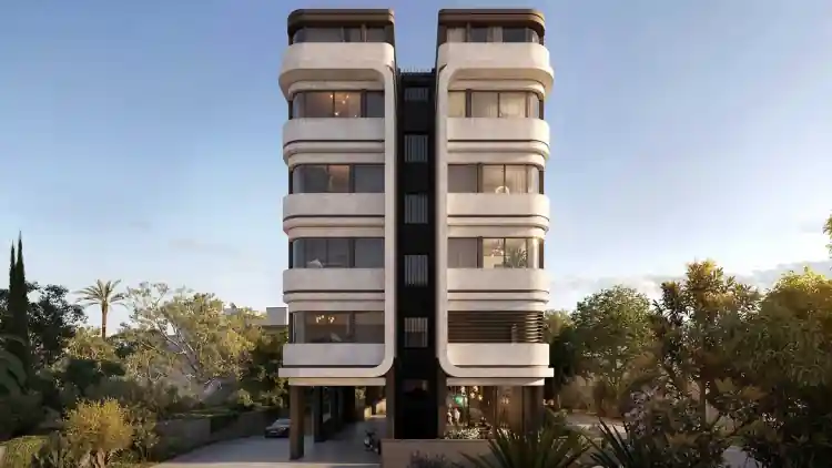 Project Image 4