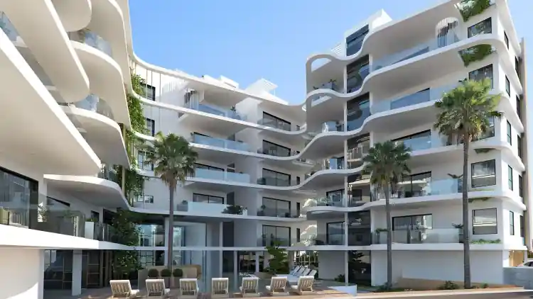 Project Image 1