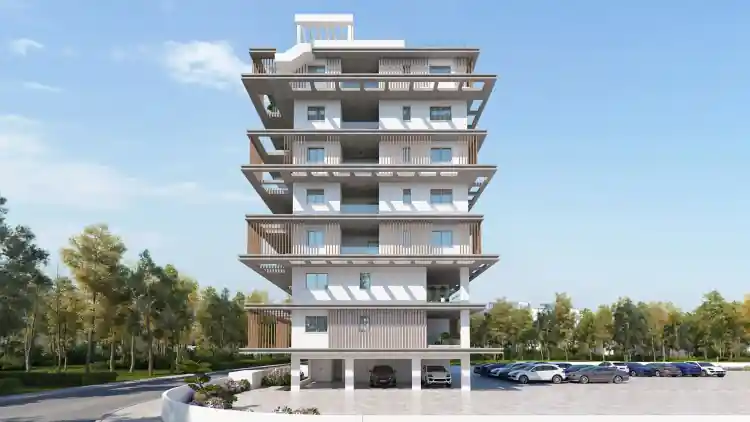 Project Image 7