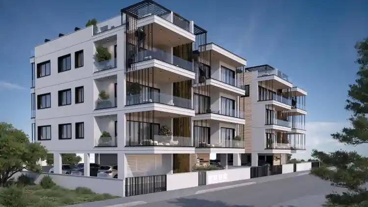 Project Image 1