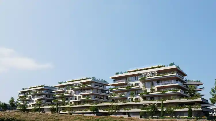 Project Image 4