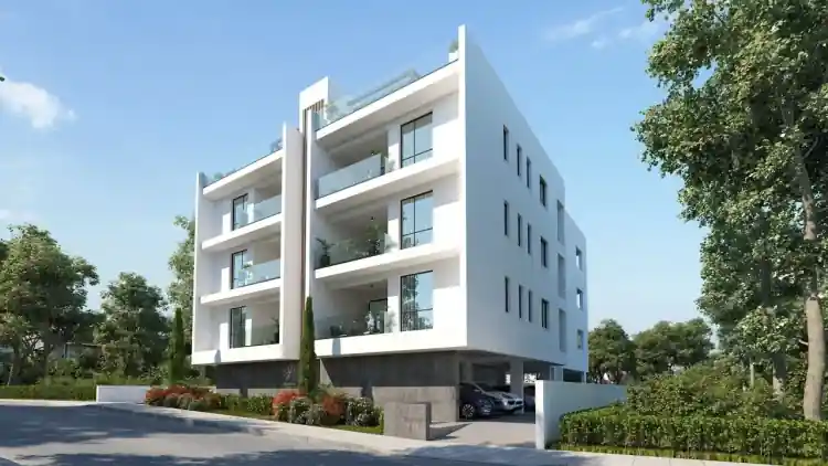 Project Image 2