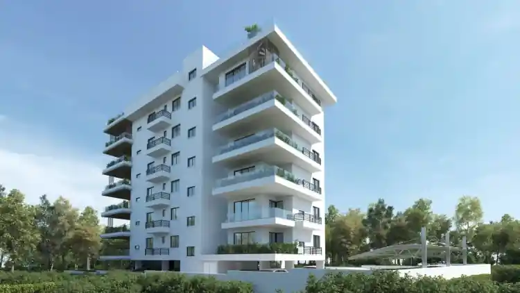 Project Image 9