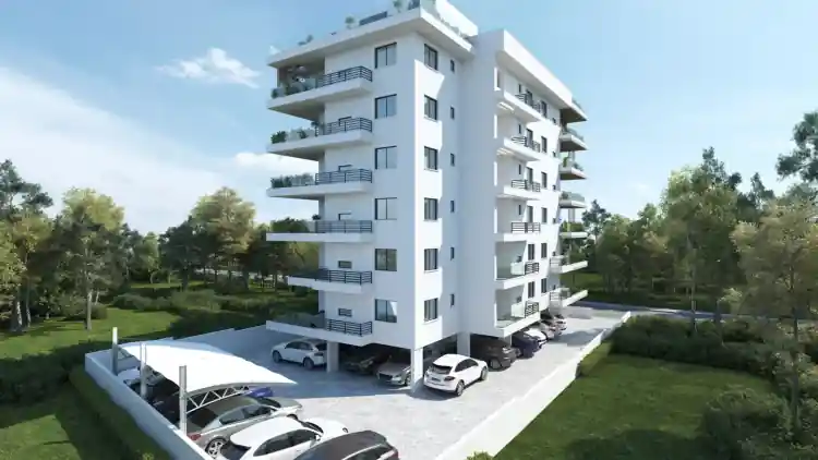 Project Image 7