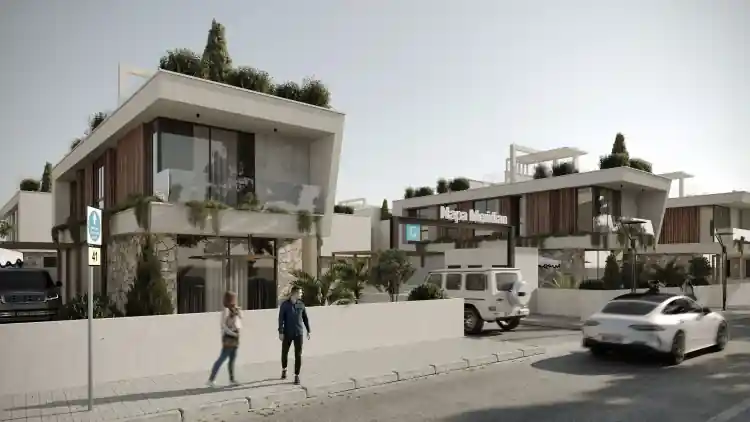 Project Image 7