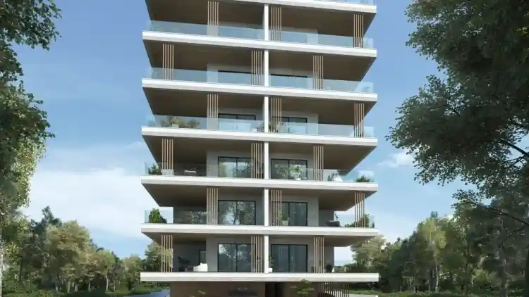 Project Image 1