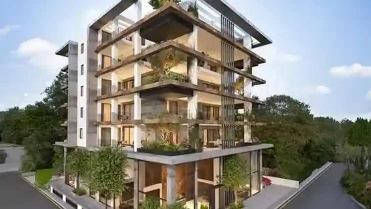 Project Image 2