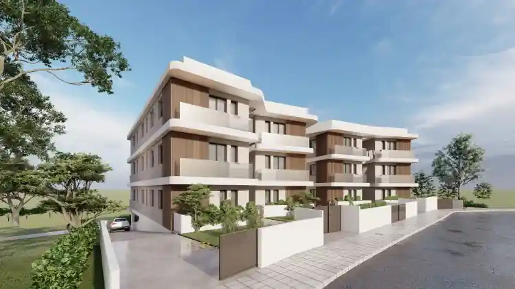 Project Image 8