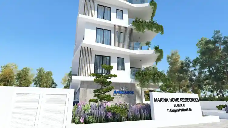 Project Image 6