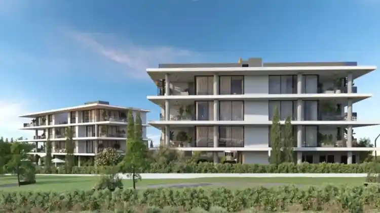 Project Image 2