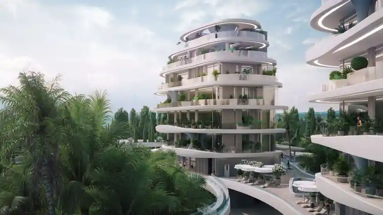 Project Image 1