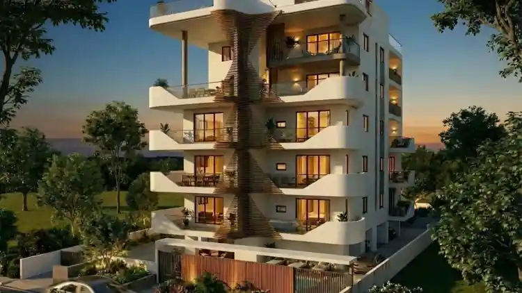 Project Image 1