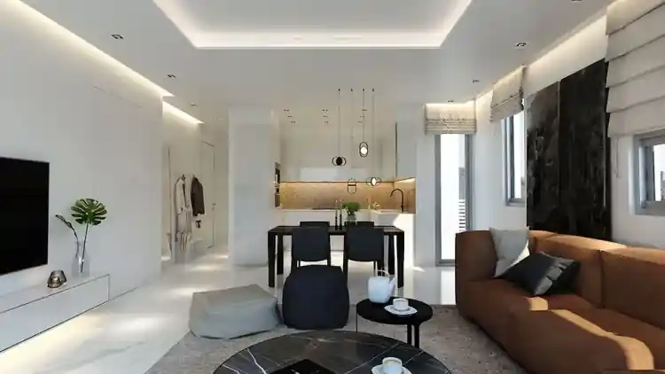 Project Image 11