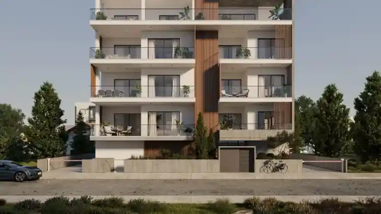 Project Image 1