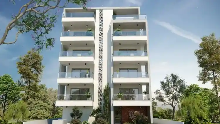 Project Image 1