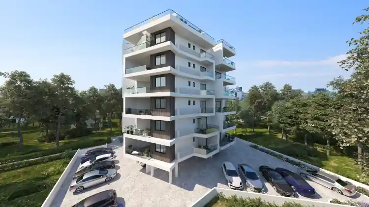 Project Image 6