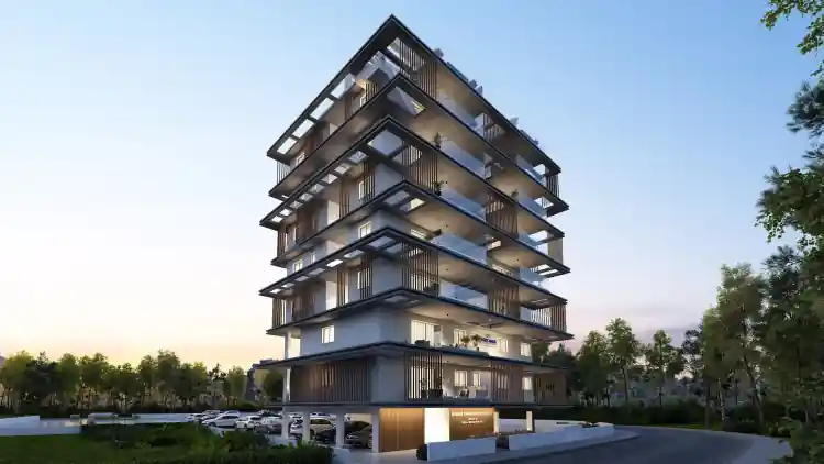 Project Image 5