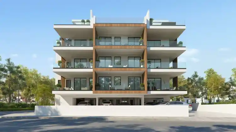 Project Image 7