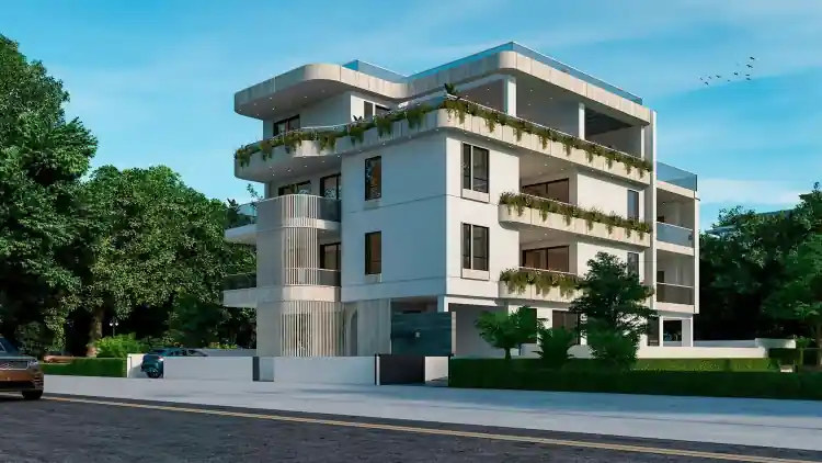 Project Image 1