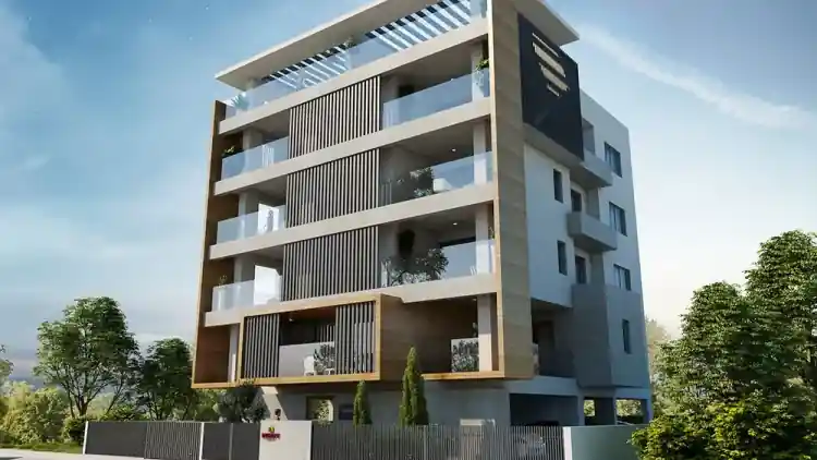 Project Image 8