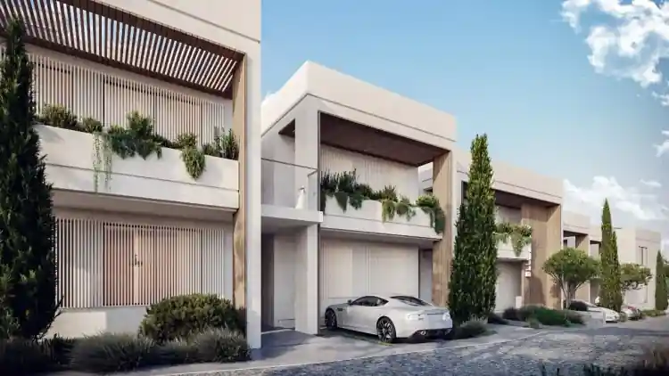 Project Image 12