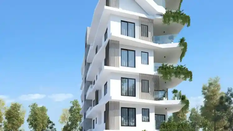 Project Image 1