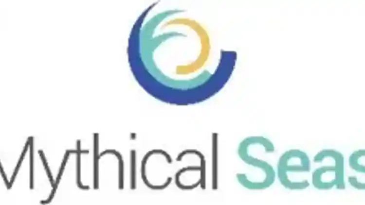 Project Image 1