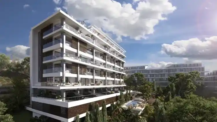 Project Image 7
