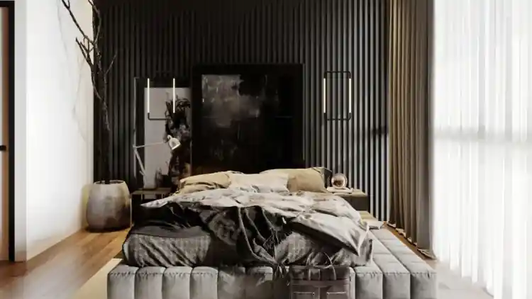 Project Image 2