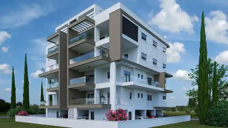 Project Image 5