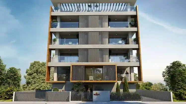 Project Image 1