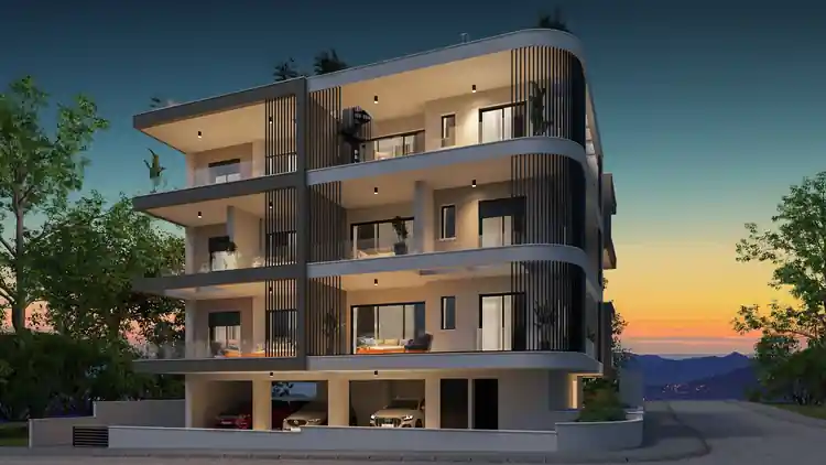 Project Image 1